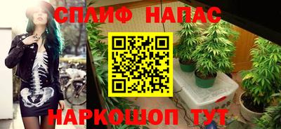 шишки Славянск-на-Кубани