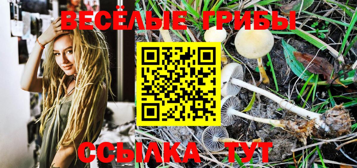 Галлюциногенные грибы GOLDEN TEACHER  Вход с VPN  Богданович 