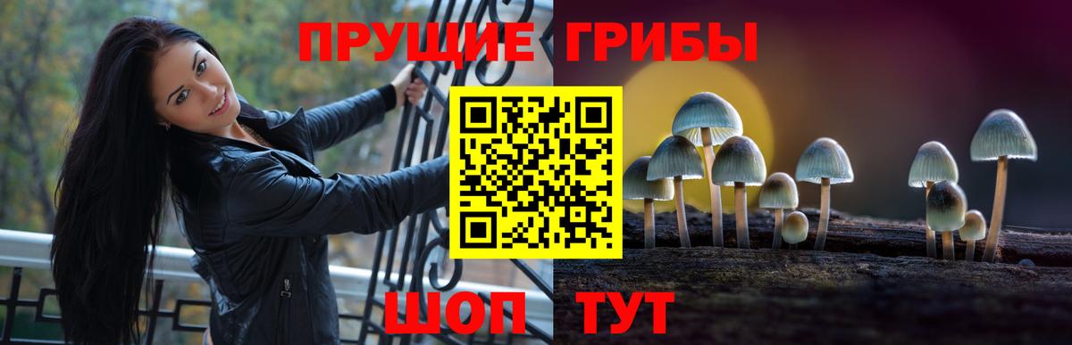 Псилоцибиновые грибы MAGIC MUSHROOMS Богданович