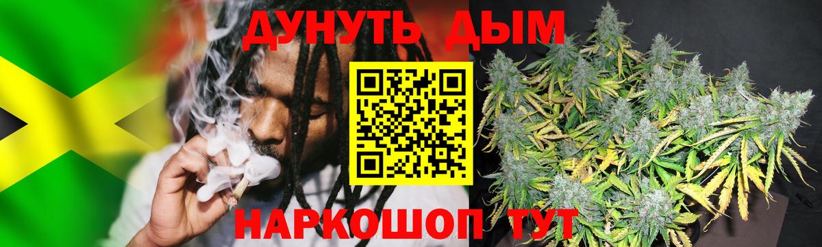Каннабис конопля Богданович